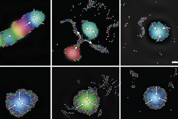Tiny robots use sound to self-organize into intelligent groups