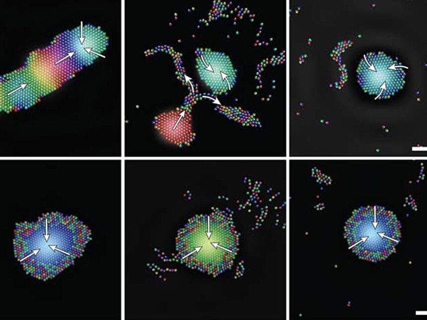 Tiny robots use sound to self-organize into intelligent groups