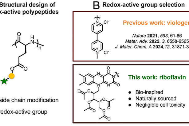 Battery made from natural materials could replace conventional lithium-ion batteries