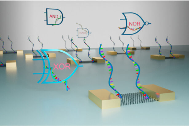 Biomolecular computing shows potential for next-generation integrated circuits