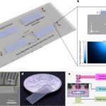 Compact phononic circuits guide sound at gigahertz frequencies for chip-scale devices