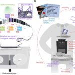 DNA cassette tapes could solve global data storage problems