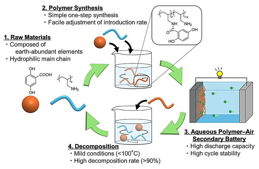Organic polymer paves the way for recyclable water-based batteries