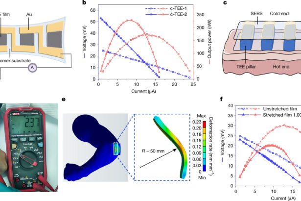 Scientists unveil a rubber band that generates electricity from body heat