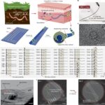 Soft 'NeuroWorm' electrode allows wireless repositioning and stable neural monitoring