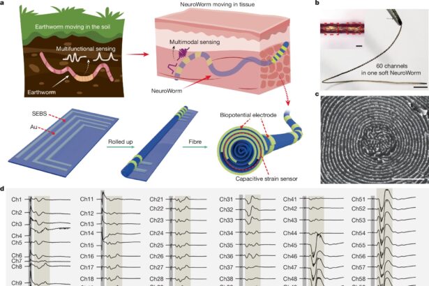 Soft 'NeuroWorm' electrode allows wireless repositioning and stable neural monitoring