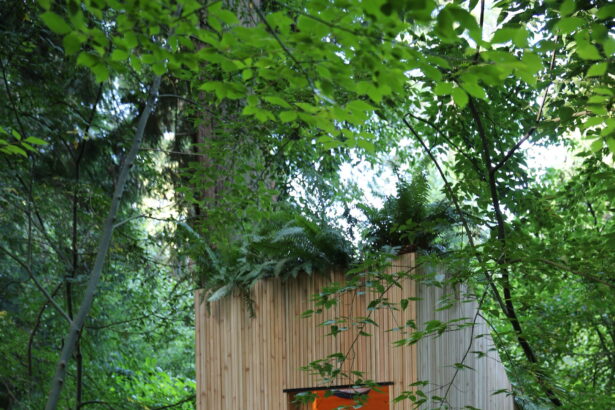 World's first mushroom-powered waterless toilet appears in botanical garden