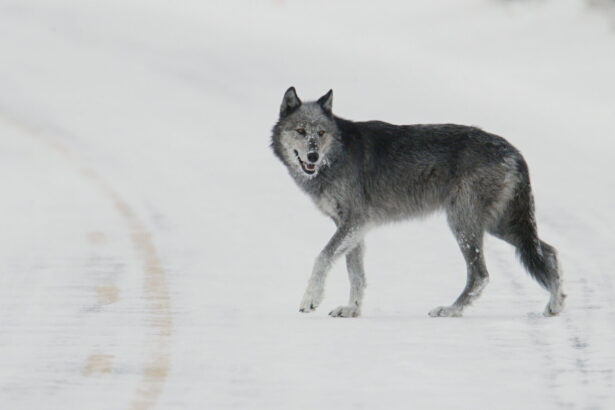 Autonomy in the real world? Druid AI unveils AI agent 'factory'