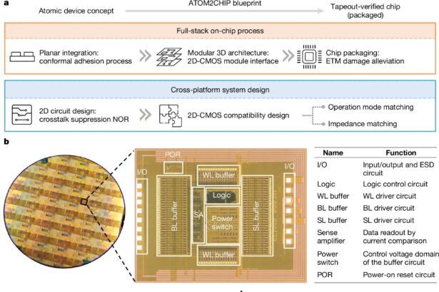 Scientists create world's first chip that combines 2D materials with conventional silicon circuitry