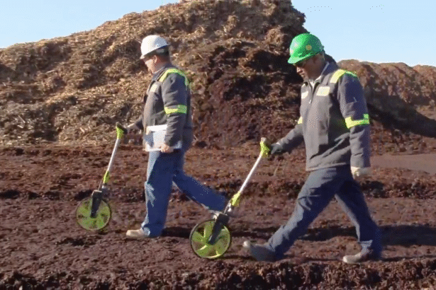 When dirt meets data: ScottsMiracle-Gro saved $150M using AI