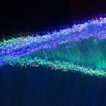 Fiber Utilities Face Evolution or Extinction