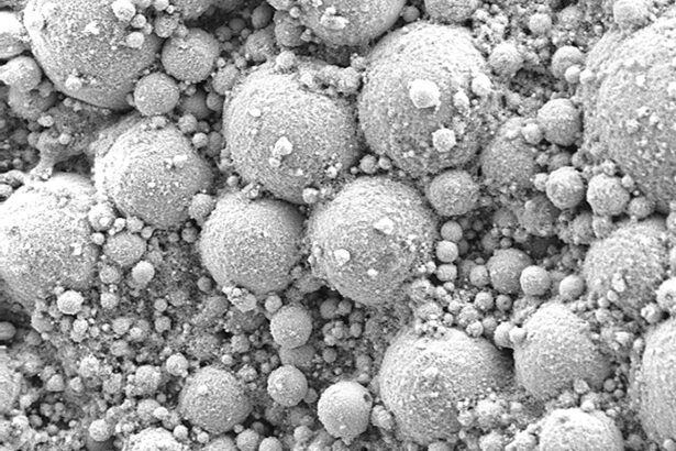 'Living metal' could bridge biological and electronic systems