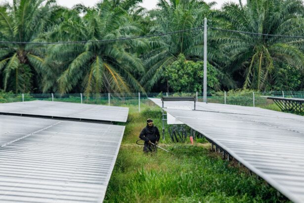 Malaysia Turns Plantations Into Data Hubs
