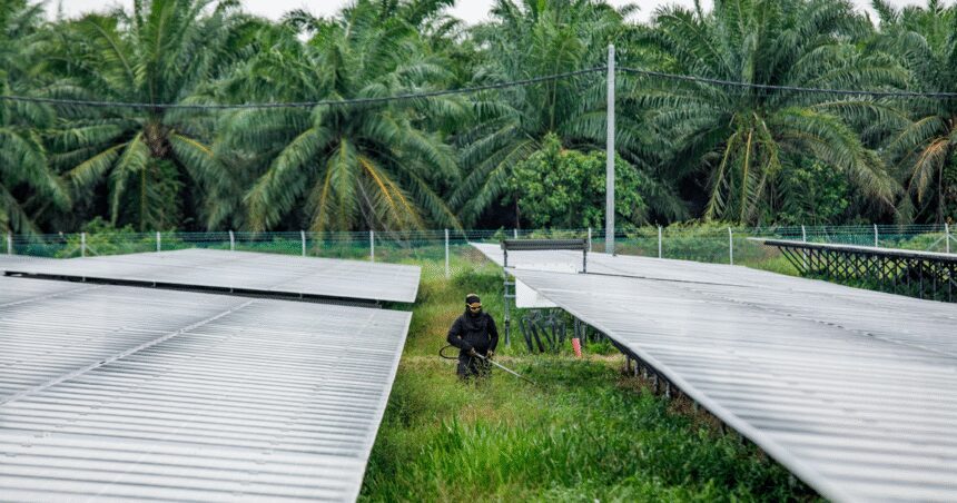 Malaysia Turns Plantations Into Data Hubs