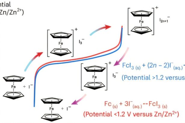 New cathode chemistry slashes self-discharge in grid-scale zinc-iodine batteries