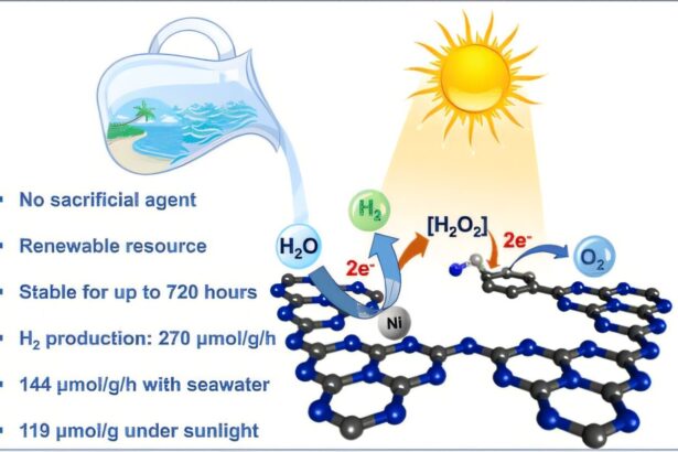 New pathways to green hydrogen use seawater without additional reagents