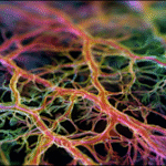 OpenAI experiment finds that sparse models could give AI builders the tools to debug neural networks