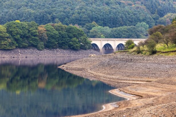 Will water, not watts, decide how far AI can scale?