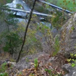 50,000 Copilot licences for Indian service companies