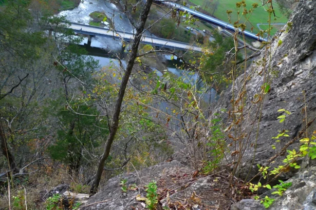 50,000 Copilot licences for Indian service companies