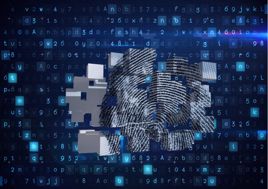 How biometrics secure our online world