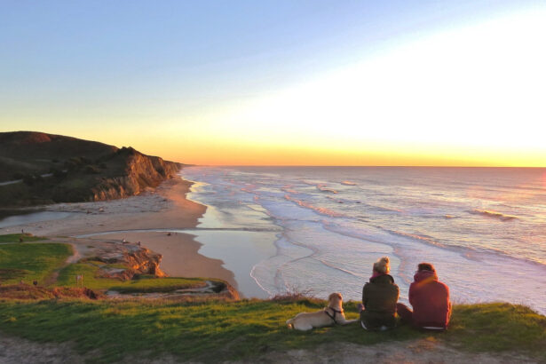 IBM cites agentic AI, data policies, and quantum as 2026 trends