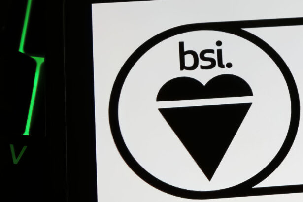 BSI launches ‘Mark of Trust’ scheme for data centres