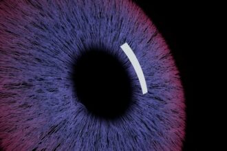 Family offices turn to AI for financial data insights