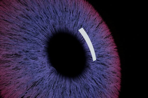 Family offices turn to AI for financial data insights