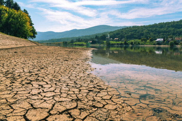 New report calls for mandatory reporting on water use