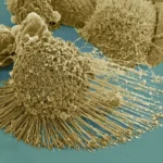 Securing AI systems under today's and tomorrow's conditions