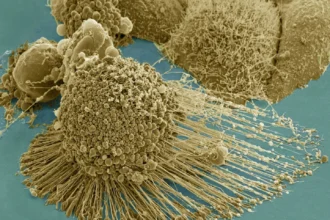 Securing AI systems under today's and tomorrow's conditions