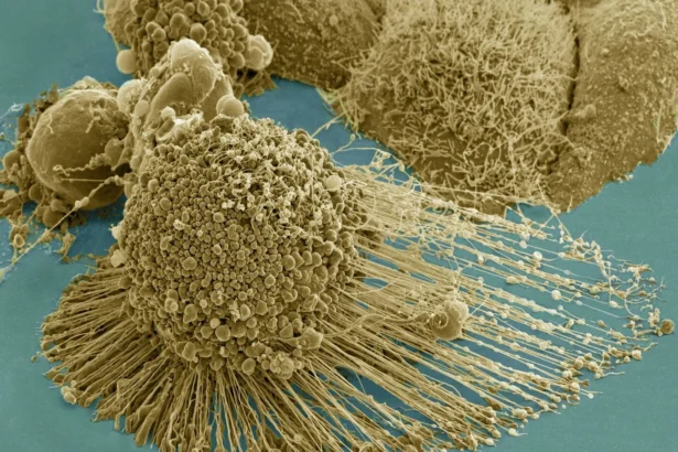 Securing AI systems under today's and tomorrow's conditions