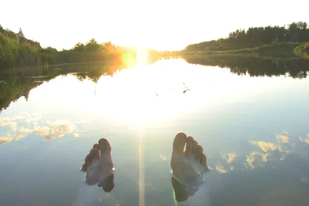 AI workflows for software developers and the need for oversight