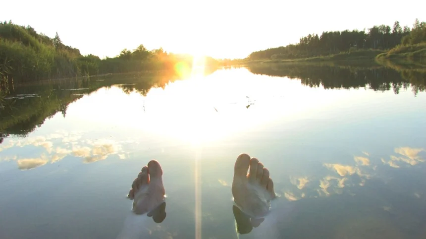 AI workflows for software developers and the need for oversight