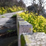 Asylon and Thrive Logic bring physical AI to enterprise perimeter security