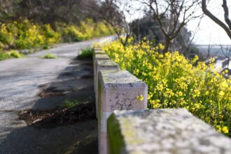 Asylon and Thrive Logic bring physical AI to enterprise perimeter security