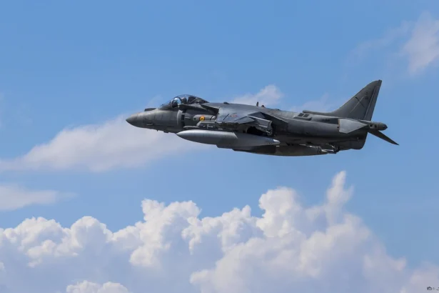 Citizen developers now have their own Wingman