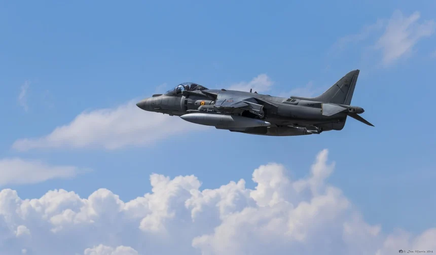 Citizen developers now have their own Wingman