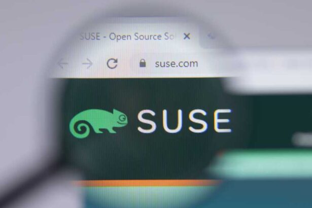 SUSE logo close-up on website